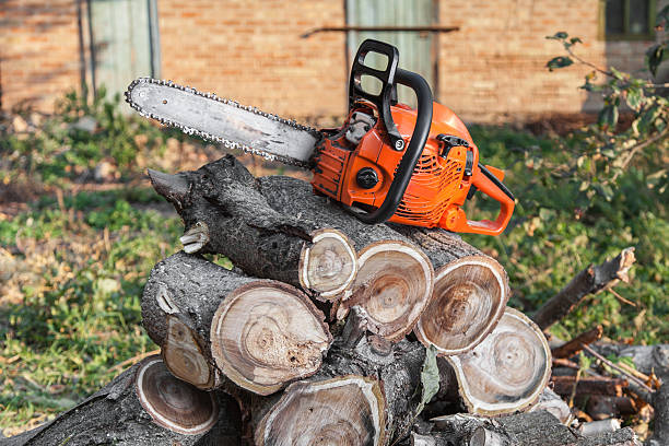 Best Emergency Storm Tree Removal  in Lmyra, PA